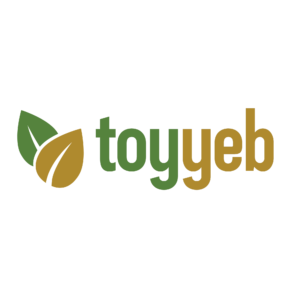 Toyyeb Logo