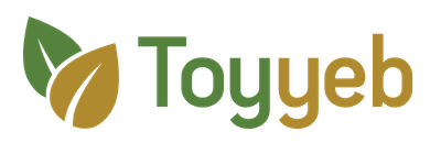 toyyeb.com